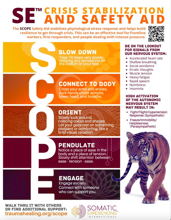 Somatic Experiencing Stabilization Process