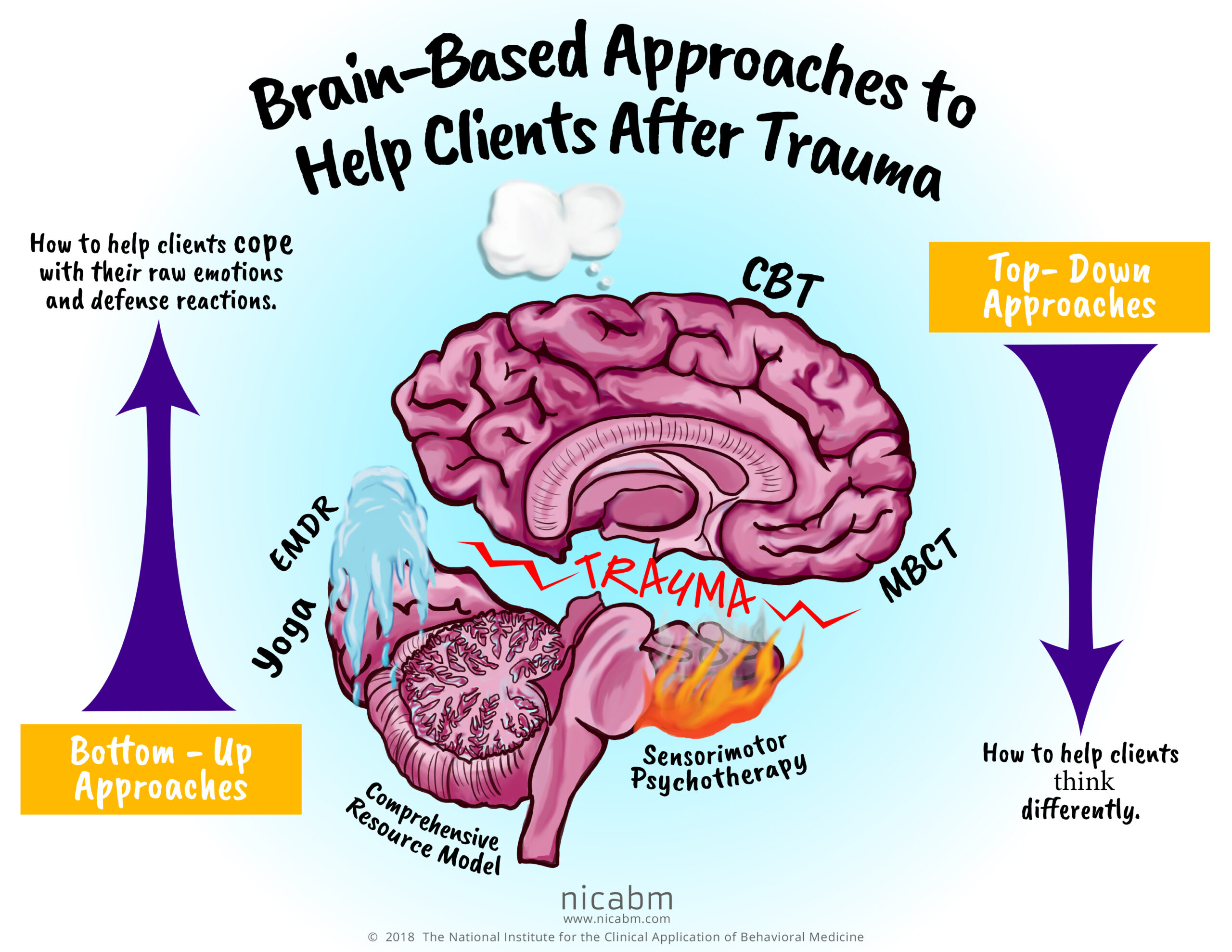 Approaches to trauma